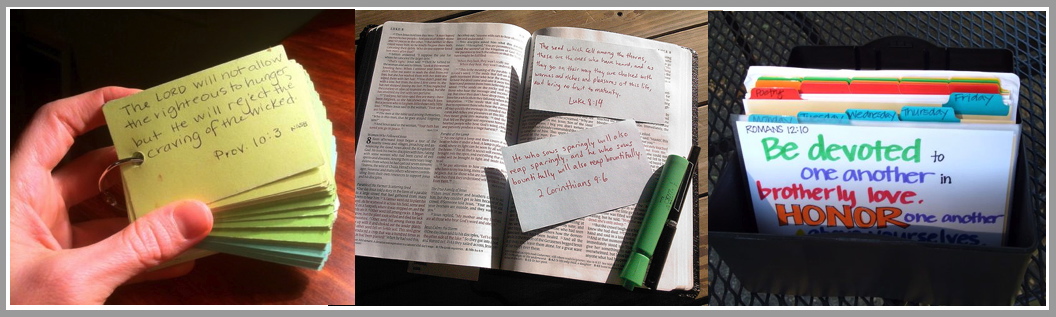 Scripture Memory Camp An Easy Entry Into Scripture Memory – Like Trees Planted
