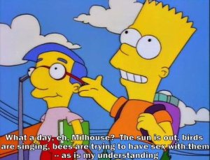 Bart teaches Milhouse