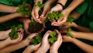 many plants in hands