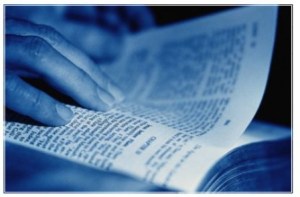 reading Bible
