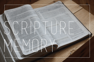scripture-memory