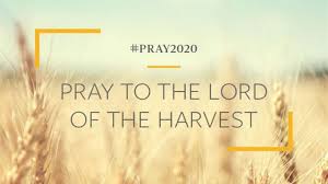 pray to the lord of the harvest